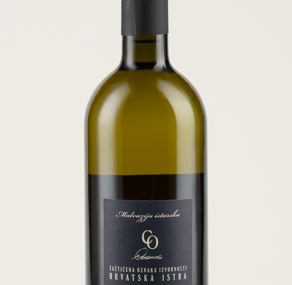 CORONICA-MALVSIA-2019.3