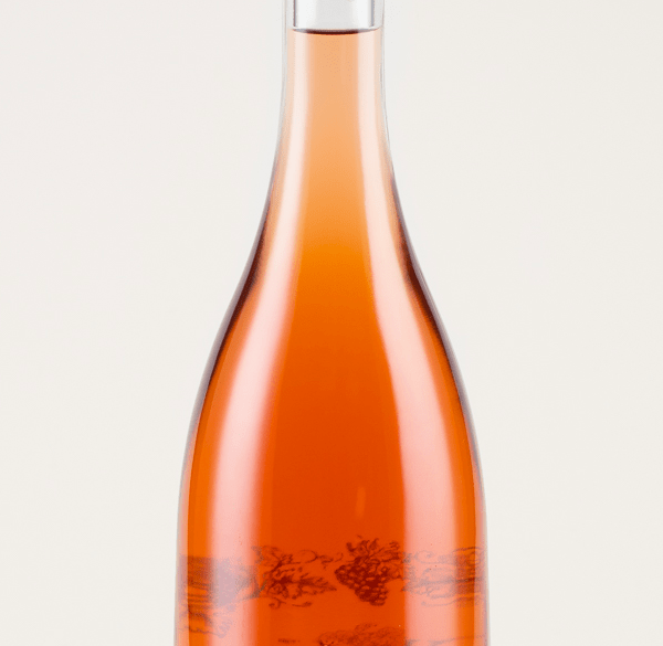 KORTA-KATARINA-ROSE-2018.3